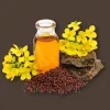 Sarshapa thaila